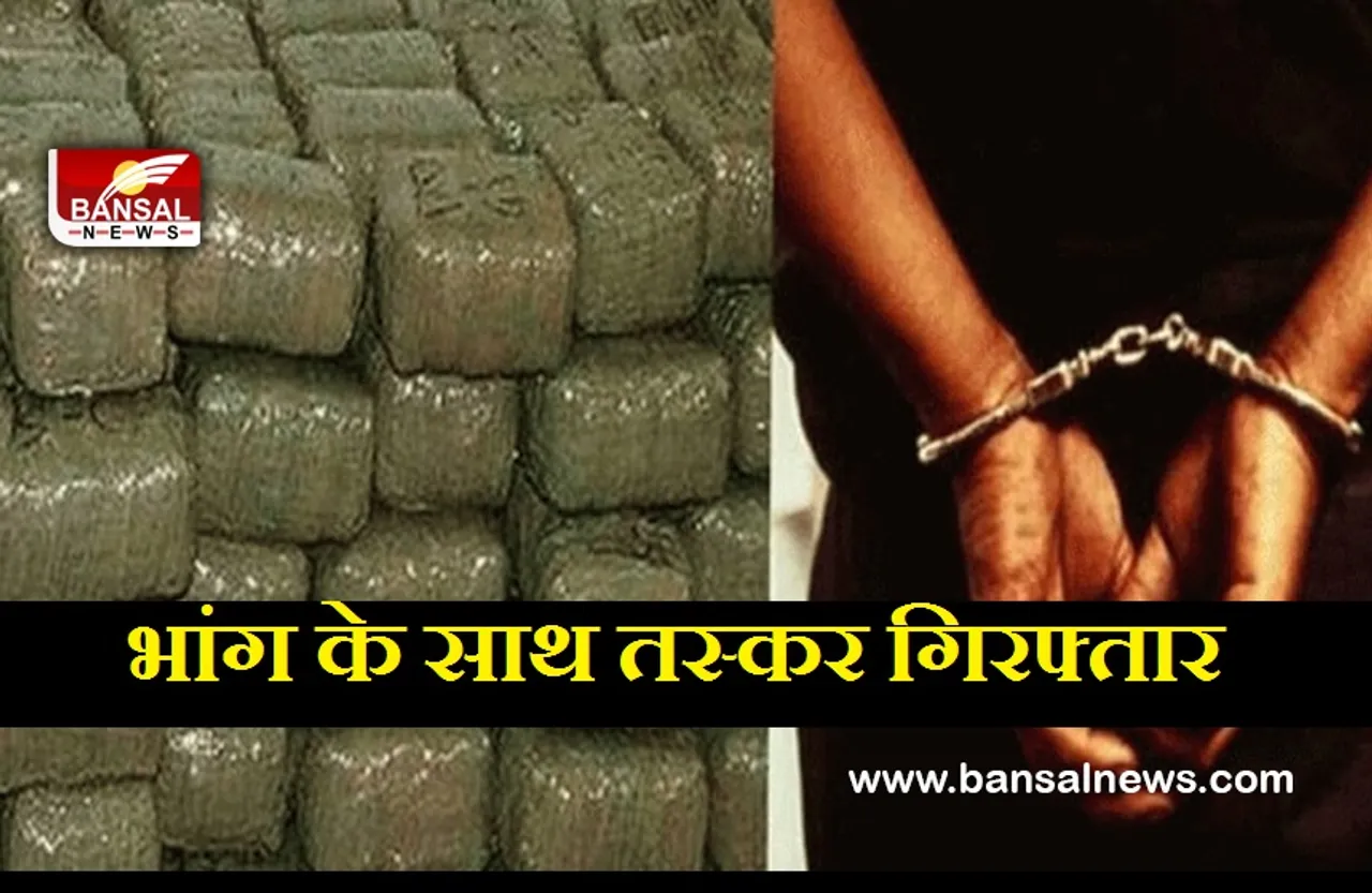Crime News: नशे का अवैध धंधा, 51 किलो भांग के साथ दो गिरफ्तार