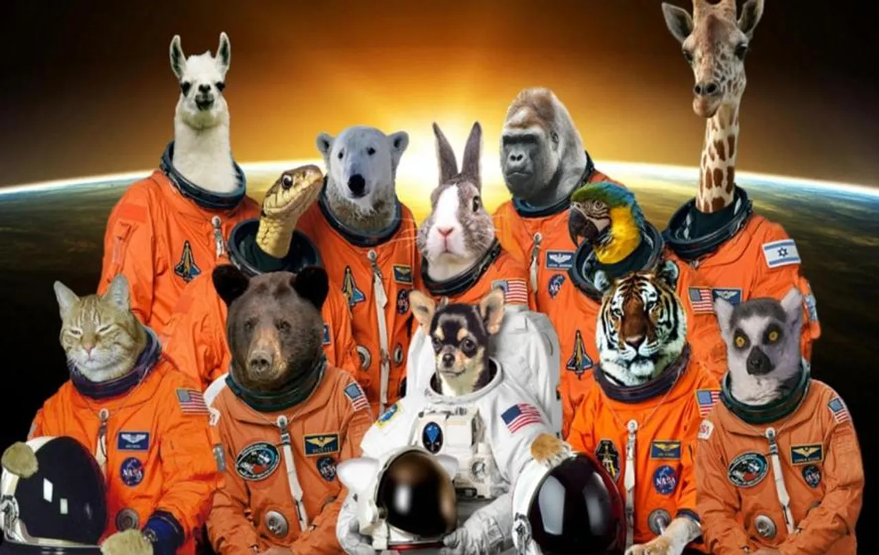 Animals In Space: अंतरिक्ष में अबतक कौन-कौन से जानवर गए? देखें तस्वीरें