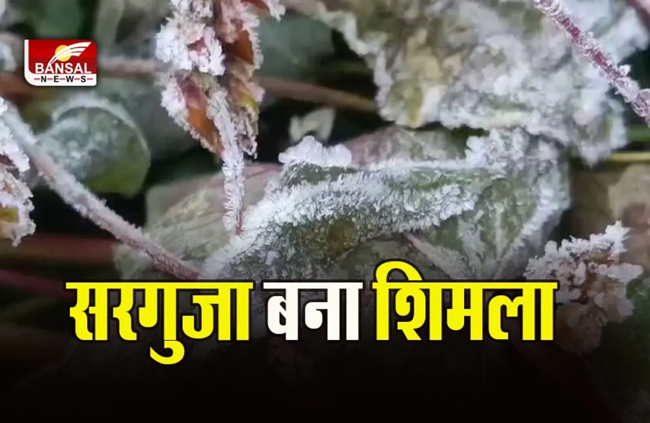 Chhattisgarh Weather Update: सरगुजा के मैनपाट में जमी बर्फ की परत, 19 दिसंबर के बाद तेजी से बढ़ेगी ठंड