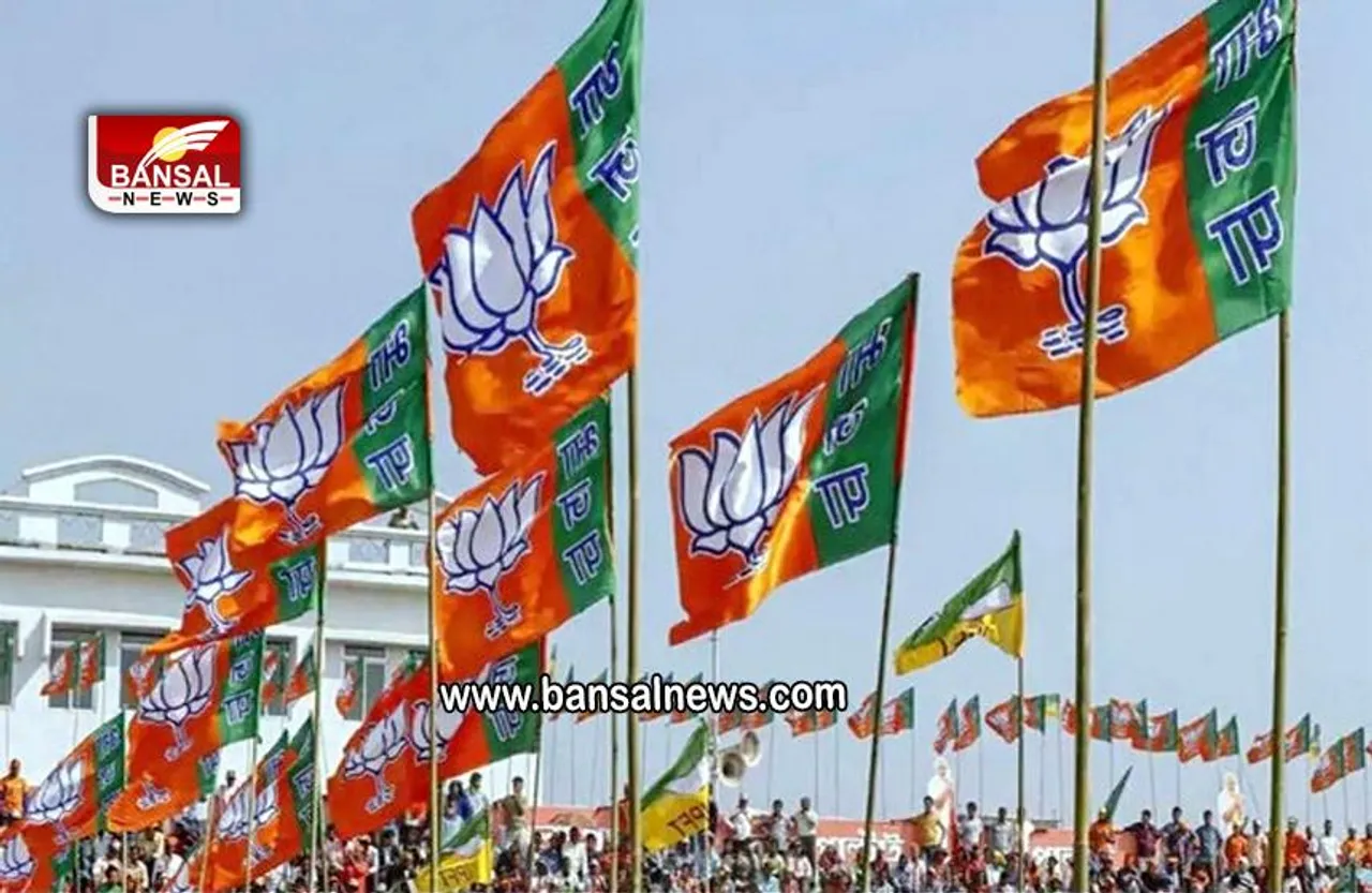 Delhi MCD Election 2022:  BJP की बड़ी कार्रवाई, 11 बागियों को किया पार्टी से निलंबित