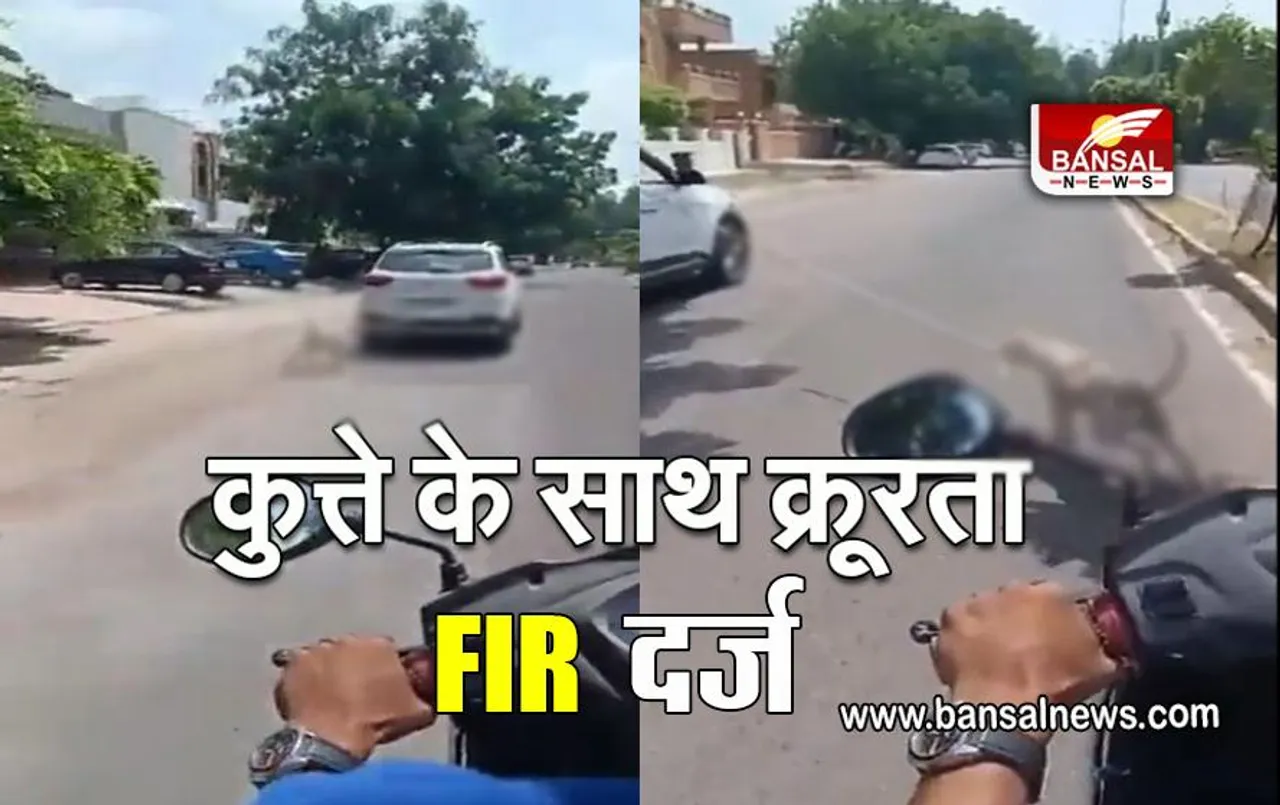 FIR Registered for Dog Harassment: कुत्ते को गाड़ी से बांधकर घसीटने का वीडियो वायरल, पेशे से है डॉक्टर, पशु क्रूरता अधिनियम के तहत FIR दर्ज