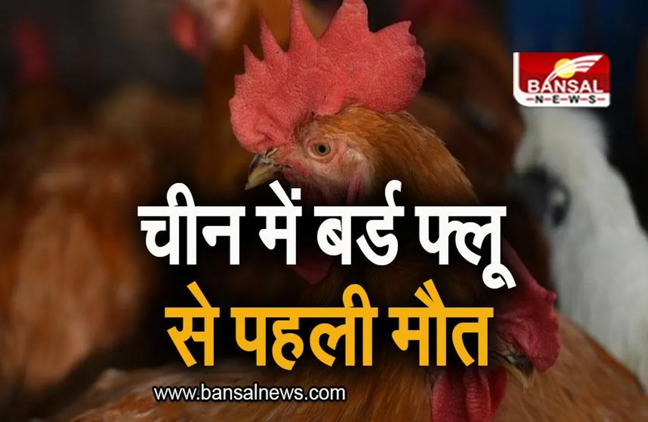 Bird Flu Case: बर्ड फ्लू से पहली इंसानी मौत, WHO ने दी जानकारी