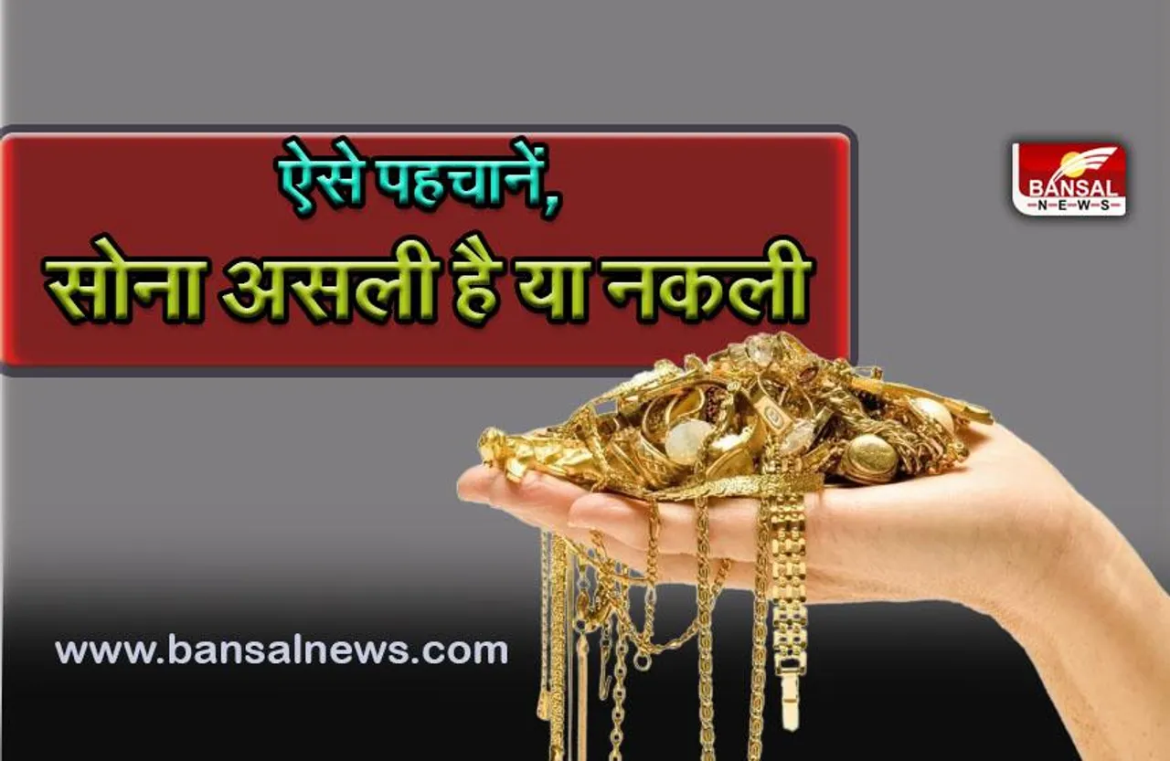 Gold Testing Tips : सोना असली है या नकली? घर बैठे मिनटों में ऐसे करें पहचान, ये हैं टेस्ट के तरीके