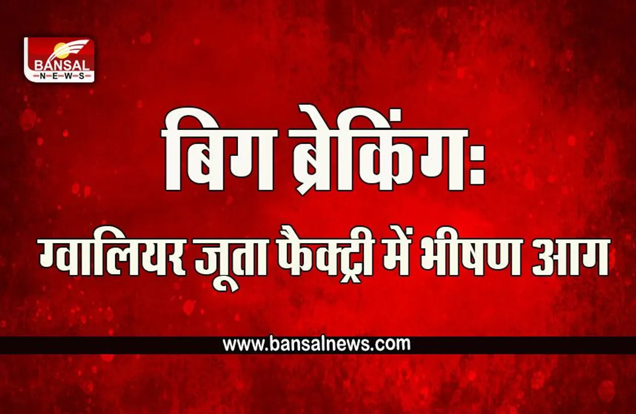 Gwalior Fire Big Breaking : बिग ब्रेकिंग: ग्वालियर जूता फैक्ट्री में भीषण आग, लाखों का सामान जलकर खाक