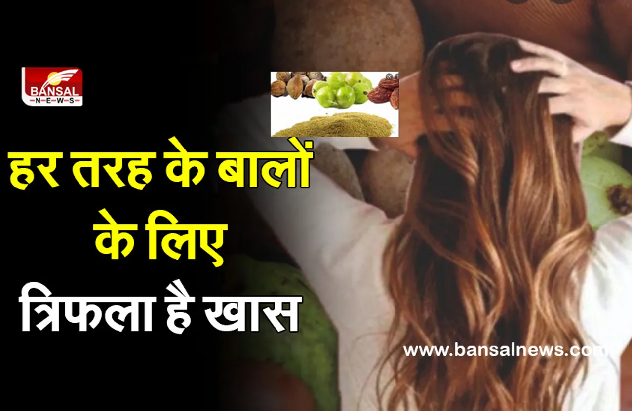 Trifla Powder For Hair Care : बालों को काला करने के लिए कभी आपने यूज किया है त्रिफला?