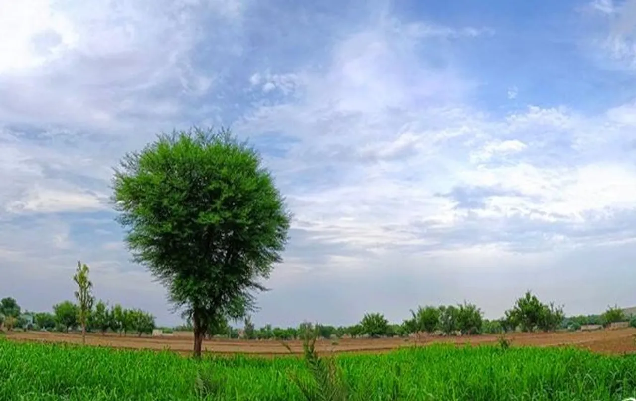 Weather Update Today: दिल्ली में ठंड ने दी दस्तक, जानें अन्य राज्यों के मौसम का हाल