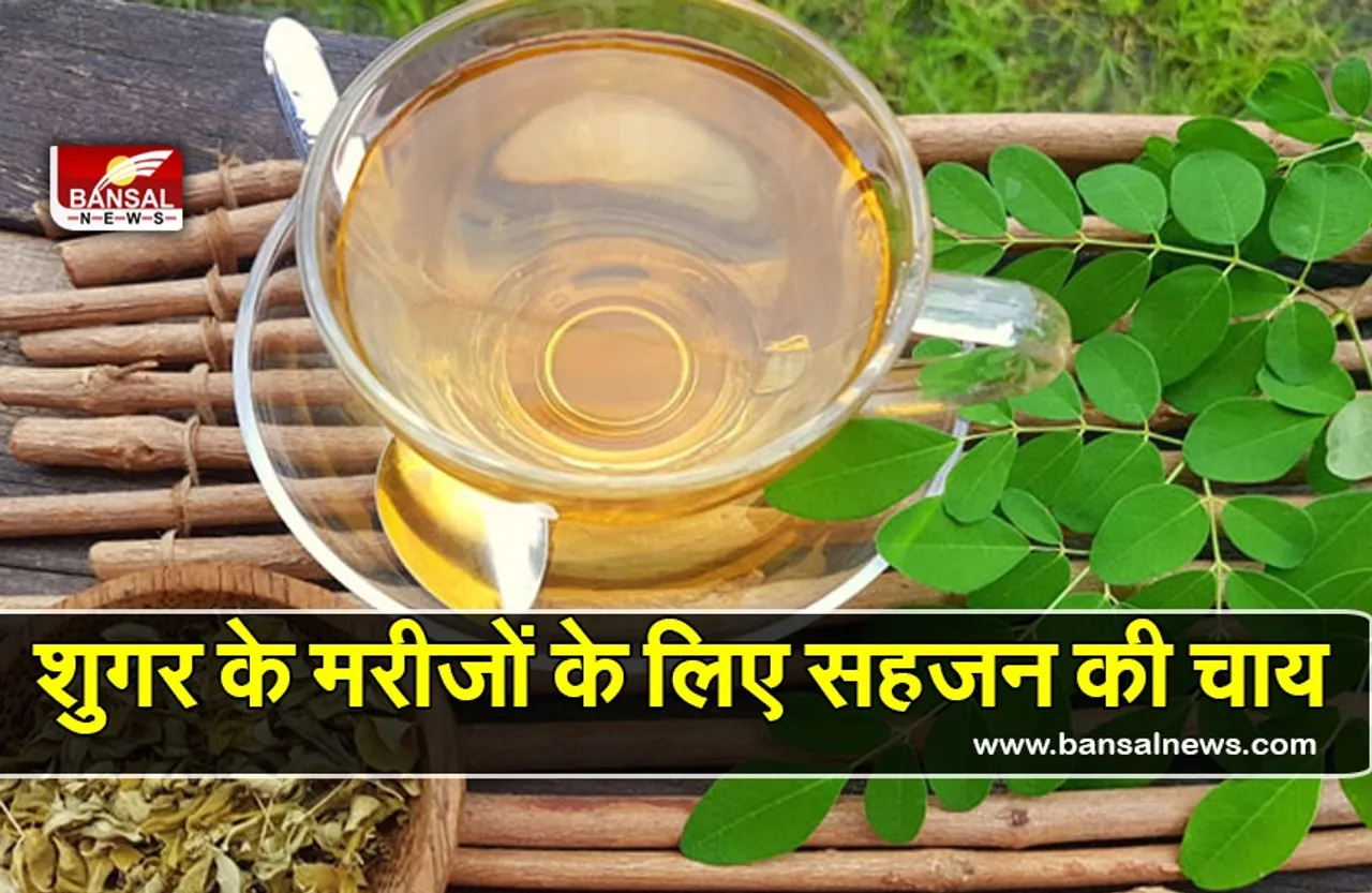Drumstick Leaves Tea For Diabetes Patient: डायबिटीज के मरीज पिएंगे इस पत्ते की चाय, तुरंत कम होगा Blood Sugar!