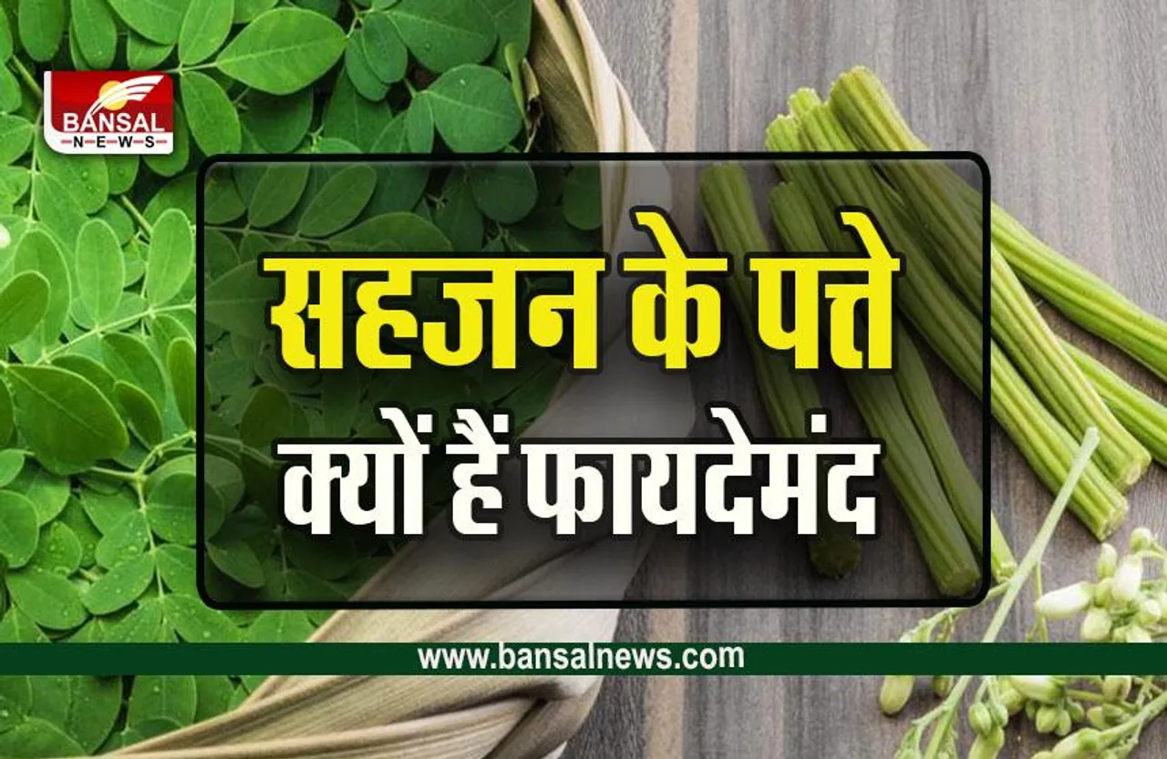 Drumstick Benefits : कमाल की चीज है सहजन, जानिए सेहत के लिए इसके जबरदस्त फायदे...