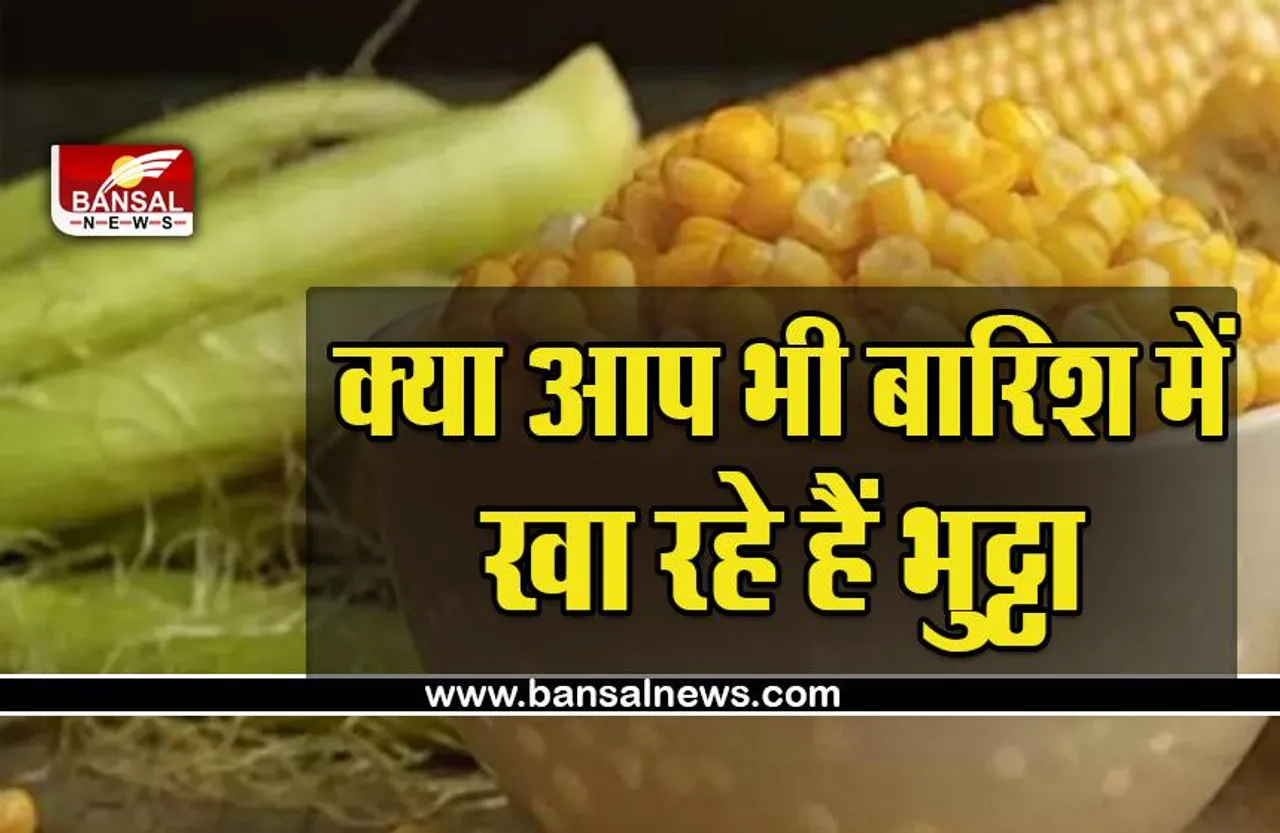 Corn Eating Effect : बारिश में भुट्टा खाने वाले पढ़ लें ये खबर, जान लें नफा-नुकसान