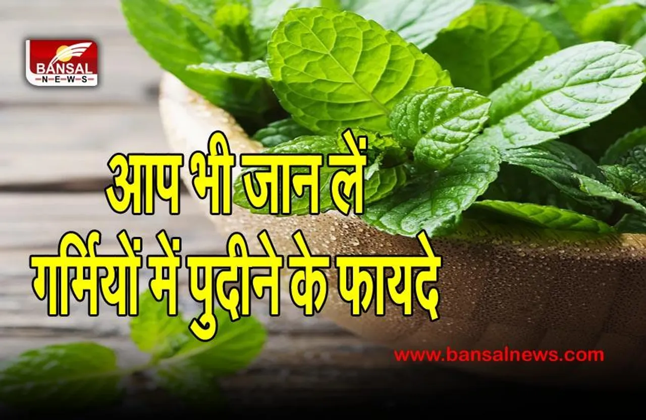 Mint Benefits In Summer : गर्मियों में कितना फायदेमंद होता है पुदीना, जानकर हो जाएंगे हैरान
