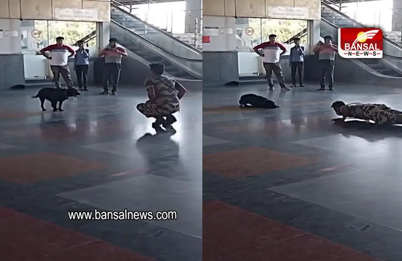WATCH: जवान के साथ योगा करता नजर आया कुत्ता, लोग हैरान, देखें वीडियो
