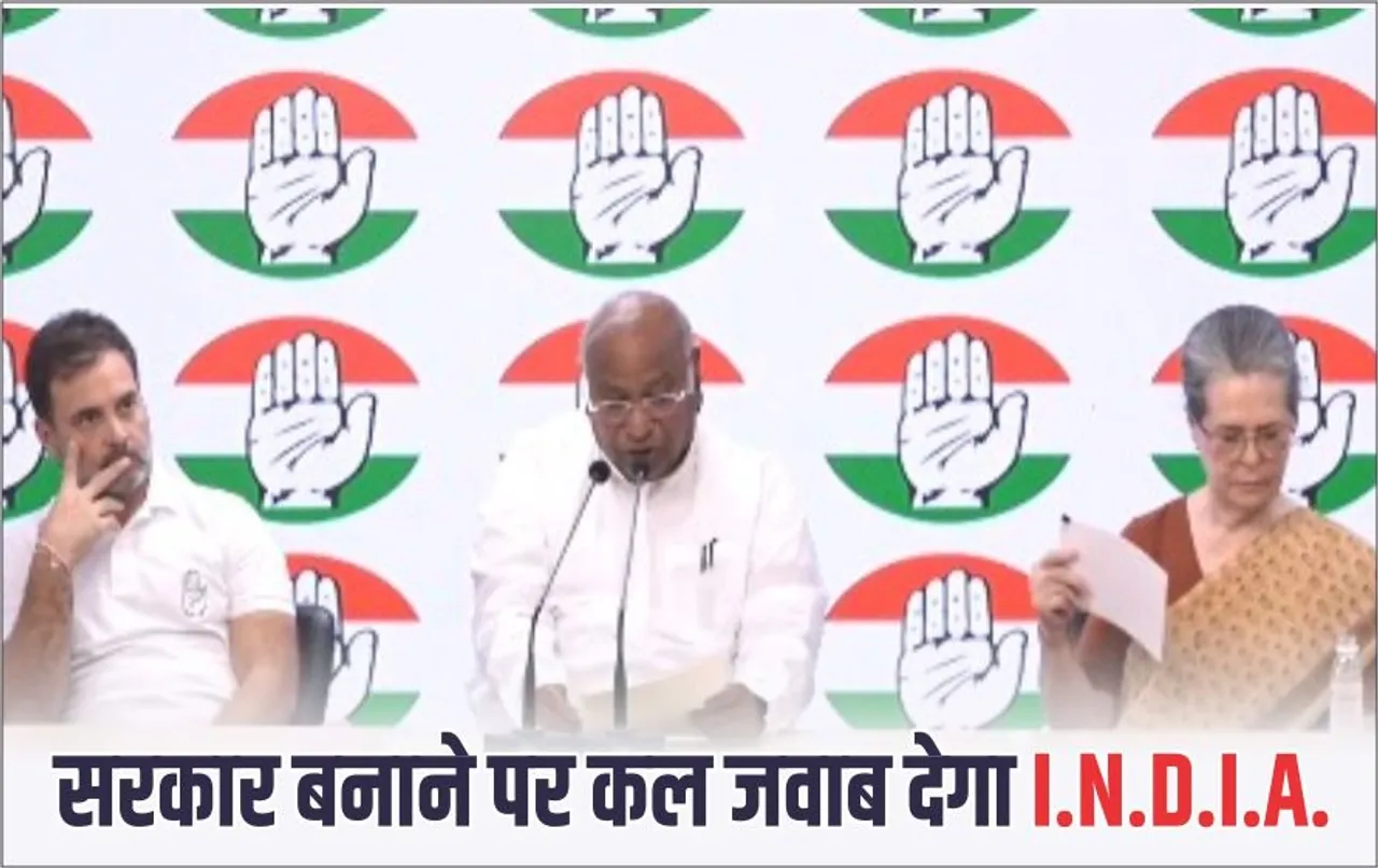 Lok Sabha Election 2024 Result: राहुल गांधी सरकार बनाने को लेकर बोले- INDIA गठबंधन कल मीटिंग के बाद तय करेगा