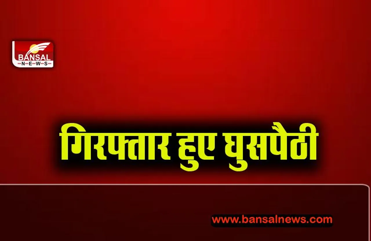 Indian Boarder News: भारतीय सीमा में घुसने  पर पाकिस्तानी नागरिक को किया गिरफ्तार