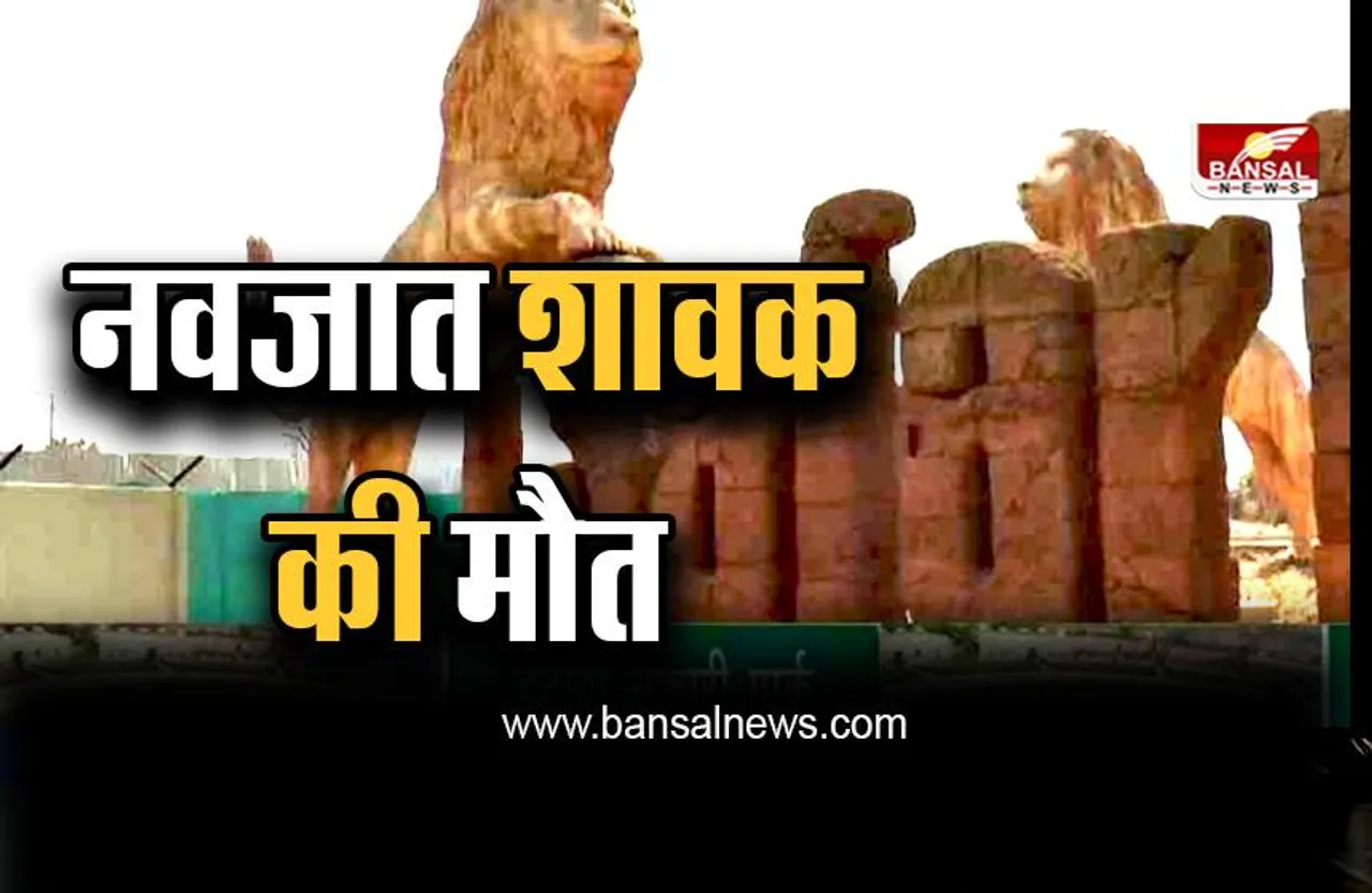 इटावा लायन सफारी में  शेरनी जेसिका के नवजात शावक की नहीं बच पाई जान