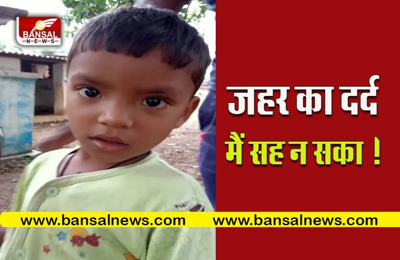 snake bite news : 5 साल के मासूम को जहरीले सांप ने काटा, मौके पर हुई मौत