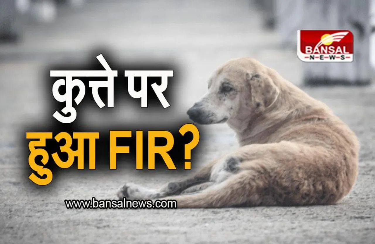 FIR ON DOG: कुत्ते ने फाड़ा सीएम जगमोहन का पोस्टर, कुत्ते पर हुआ FIR?