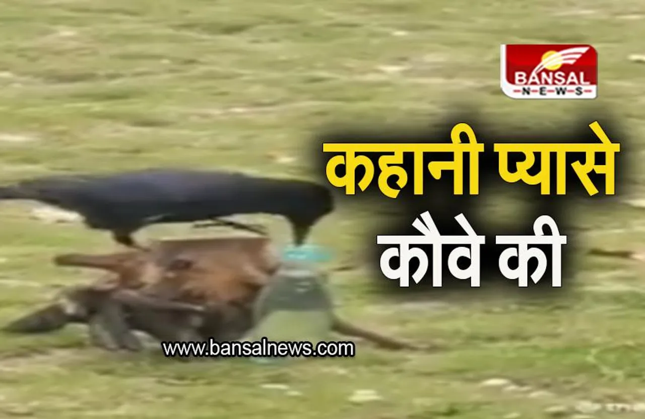 Viral video: आपको प्यासे कौवे की कहानी याद है? वीडियो ने दिलाई याद