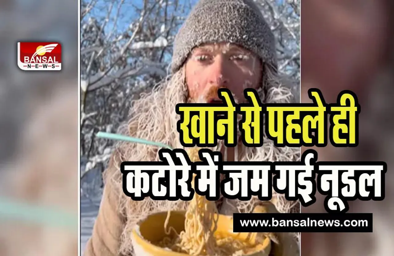 Noodle Snow Video Viral:  जब कड़ाके की ठंड में जम जाए नूडल तो क्या होगा ? देखें इस वीडियो में