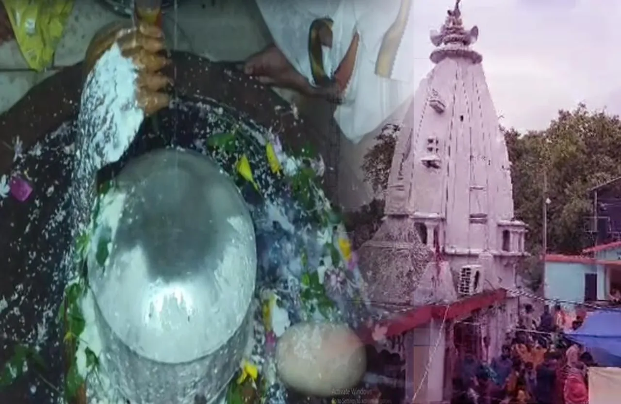 Korba Kankeshwar Mandir: इस शिव मंदिर में ये साइबेरियन पक्षी आकर बनाते हैं घोंसला, गाय का दूध गिरने से प्रकट हुए थे स्वयंभू