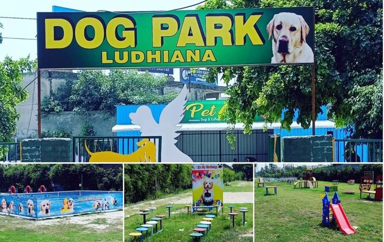 Dog Park: इस राज्य में कुत्तों के लिए उत्तर भारत का पहला पार्क खुला, स्विमिंग पूल से लेकर सारी सुविधाएं  हैं उपलब्ध