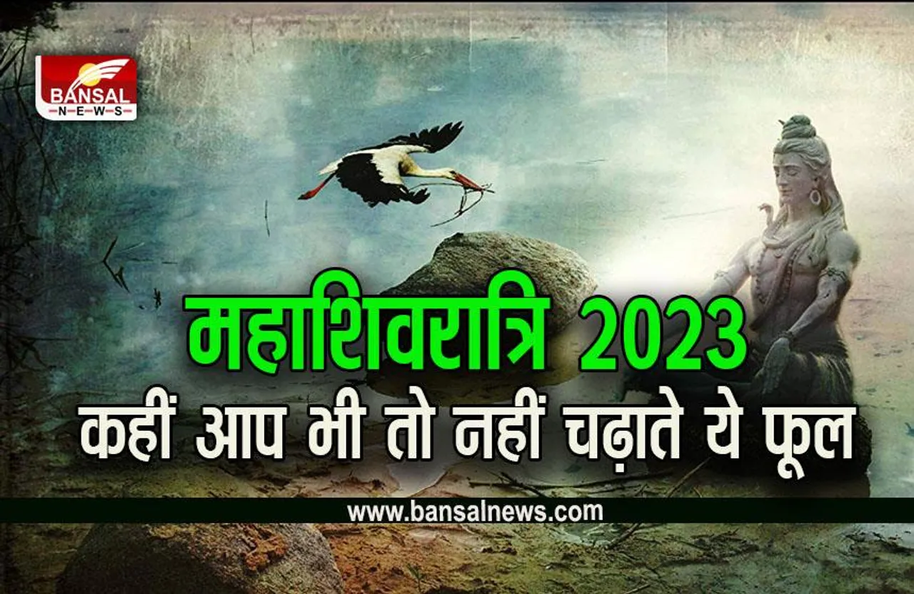Mahashivratri 2023 : शिवजी द्वारा श्रापित हैं ये फूल, भूलकर भी न चढ़ाएं भोलेबाबा को, झेलना पड़ सकता है क्रोध