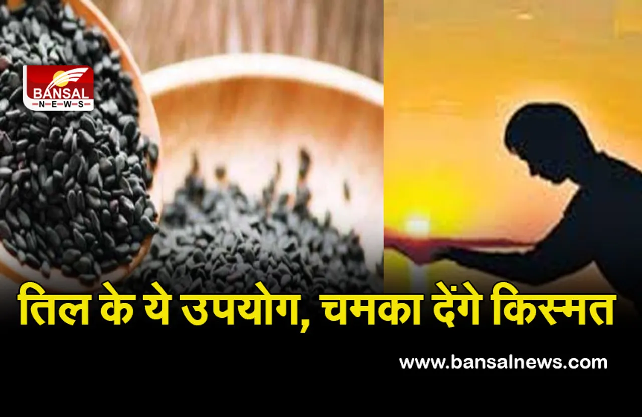 Til Use On Makar Sankranti 2022 : मकर संक्रांति पर तिल का जबरजस्त उपयोग, सारी समस्याएं होंगी दूर