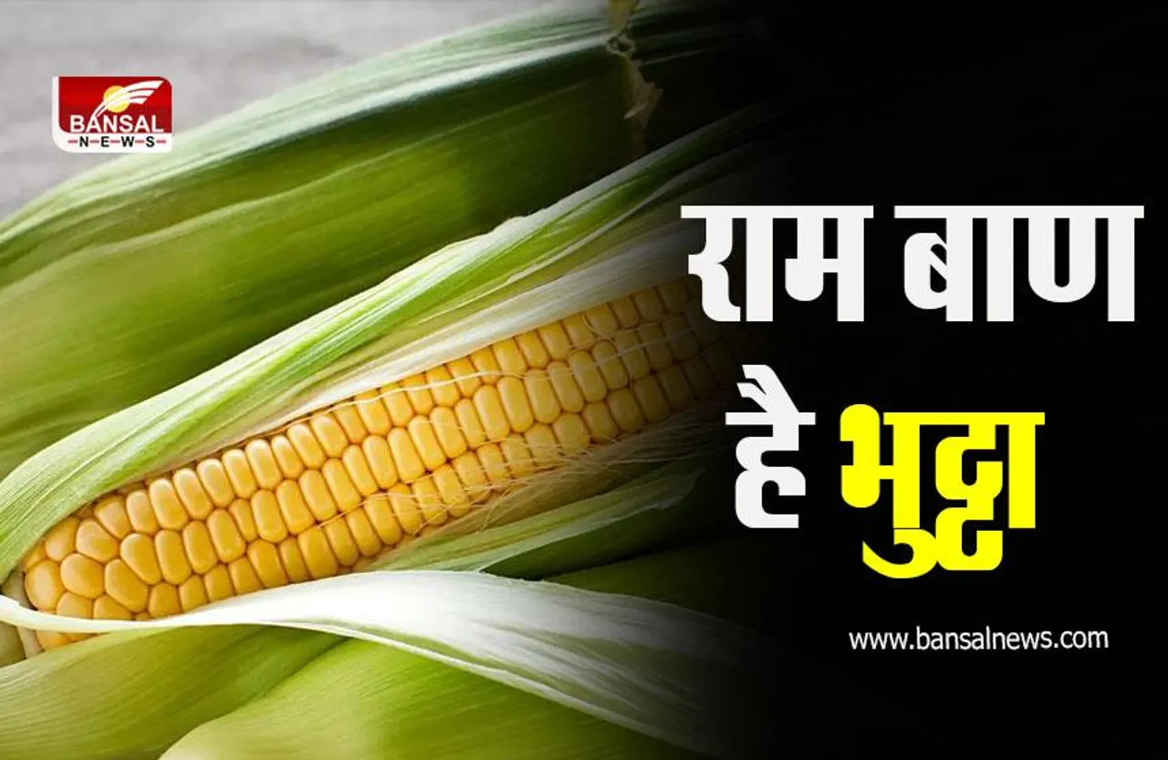 Corn Benefits : क्या आप भी बारिश में खाते हैं भुट्टा, फायदे जानकर हो जाएंगे हैरान