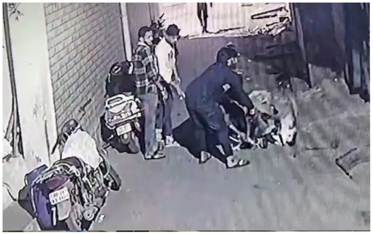 MP News: राजधानी में गाय की चोरी का अनोखा मामला, रस्सी से बांधा मुंह और घेरते हुए ले गए चोर, वीडियो आया सामने