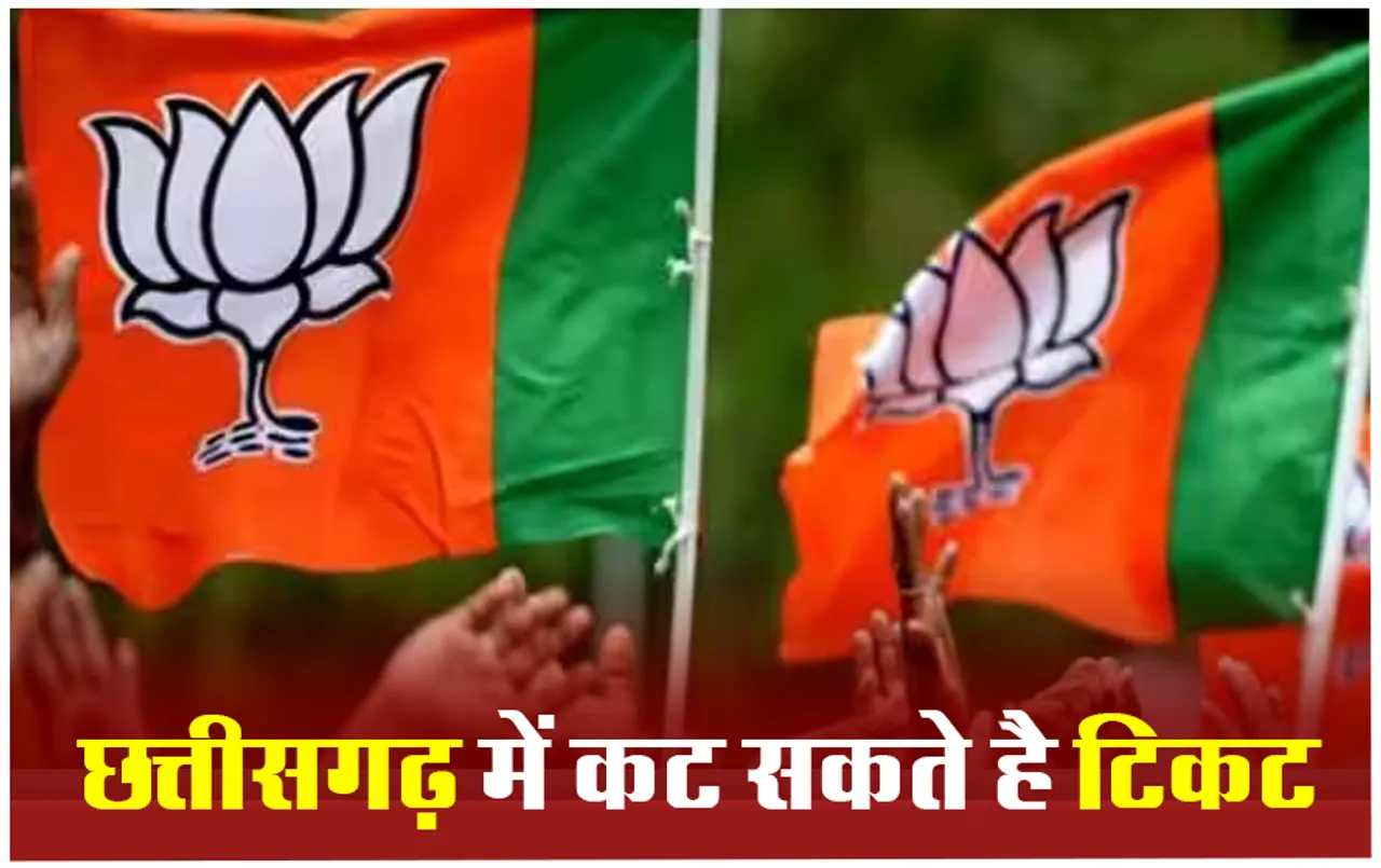 Chattisgarh News: छत्तीसगढ़ में चौंका सकती है बीजेपी, 8 सांसदों की टिकट काटने की तैयारी में बीजेपी