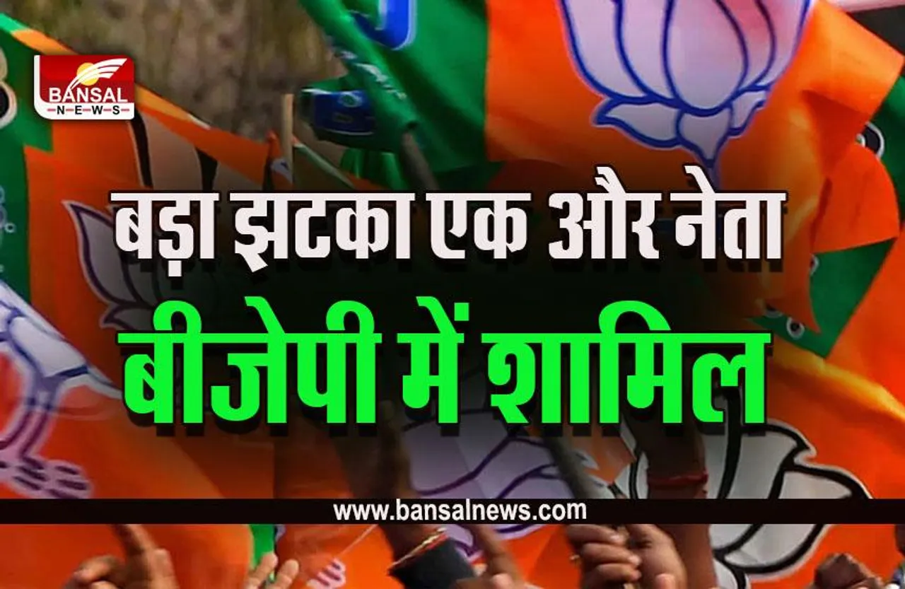 MP Big News : विधानसभा चुनाव के पहले कांग्रेस को एक और बड़ा झटका, प्रदेश सचिव बीजेपी में शामिल