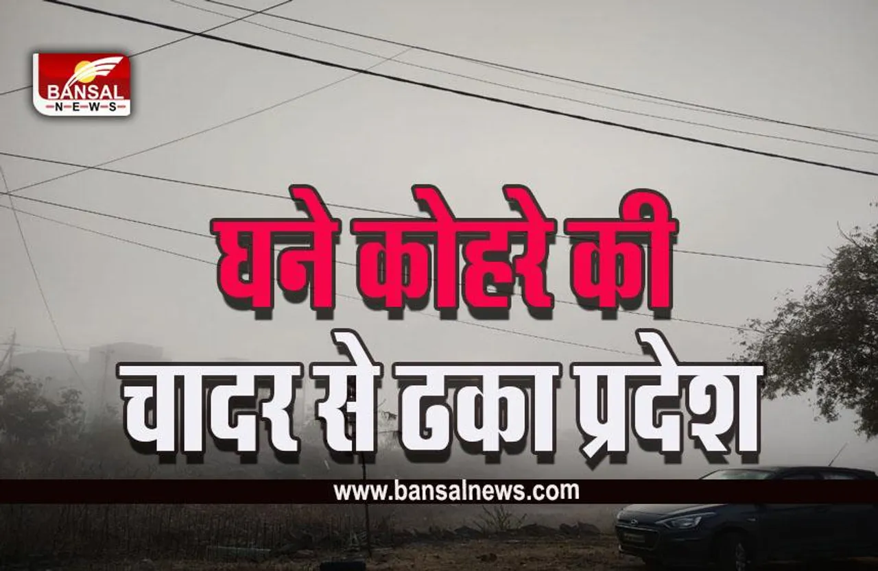 MP Weather Update: एमपी में घना कोहरा, गाड़ियों की रफ्तार पड़ी धीमी, मौसम विभाग का यलो-ऑरेंज अलर्ट