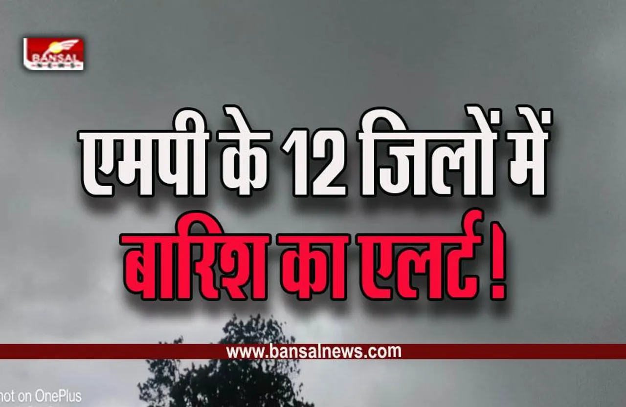 MP Weather Update : ठंड के बीच MP में मावठे की बारिश, 15 और 16 दिसंबर से पारे में गिरावट, कब तक ​रहेगा ये दौर