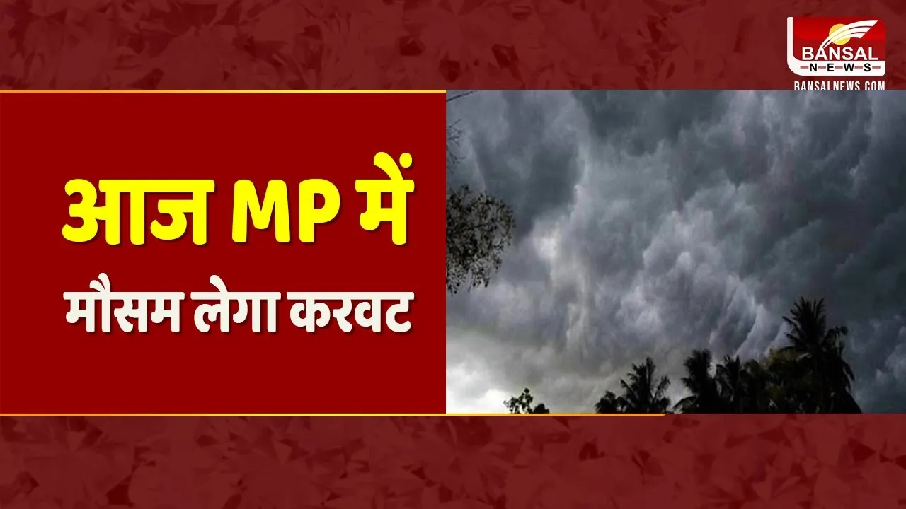 MP के इन जिलों में आंधी, बारिश के साथ गिरेंगे ओले मौसम विभाग ने जारी किया अलर्ट