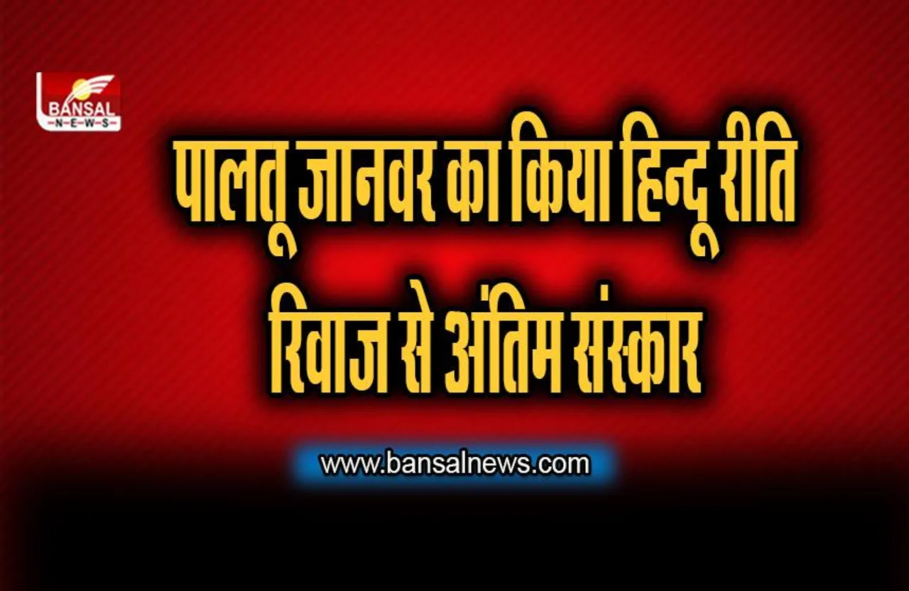 Narmadapuram : मौत के बाद पालतू जानवर का हिंदू रीति रिवाज के साथ किया अंतिम संस्कार