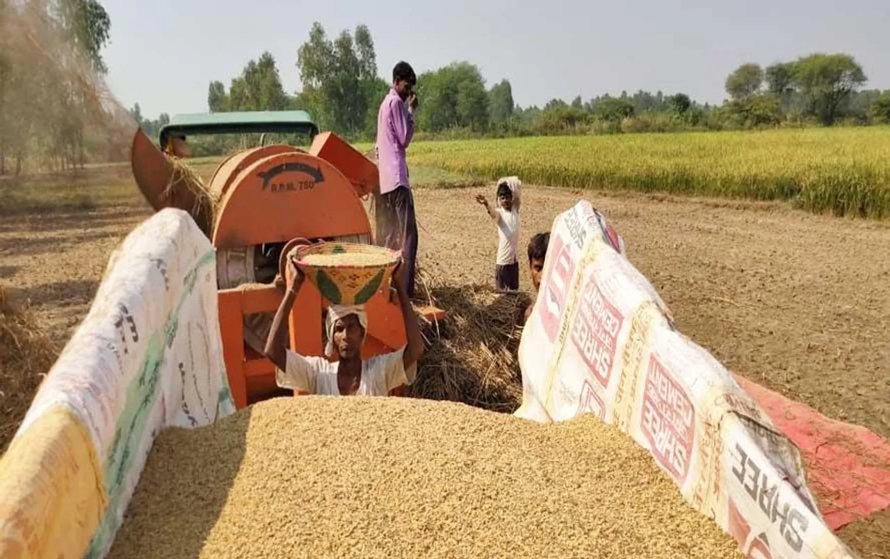 MP News: जबलपुर में खेत में रखी धान की फसल समेत कृषि उपकरण चोरी, किसानों रोहंगियों पर लागाए आरोप