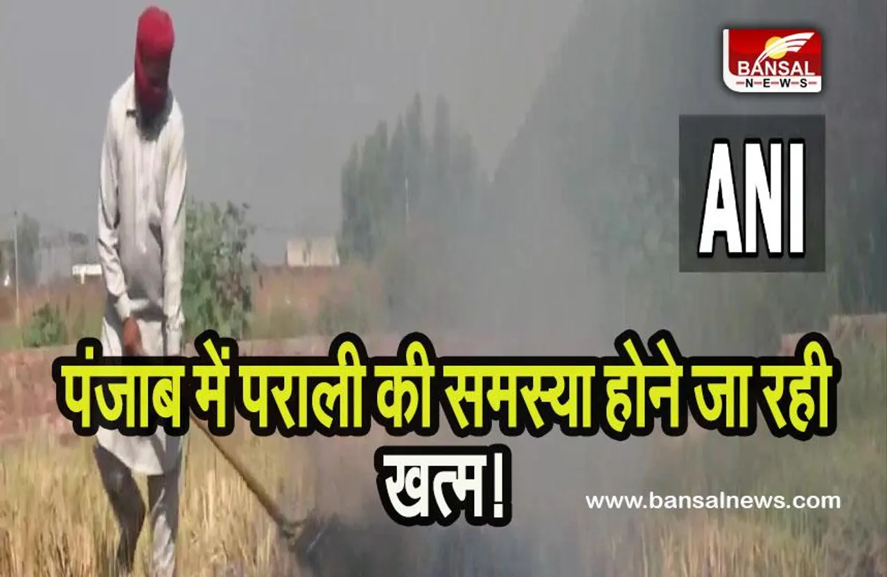 Parali Burning News: पंजाब में पराली की समस्या होने जा रही खत्म!, भगवंत सरकार ने लिया बड़ा फैसला