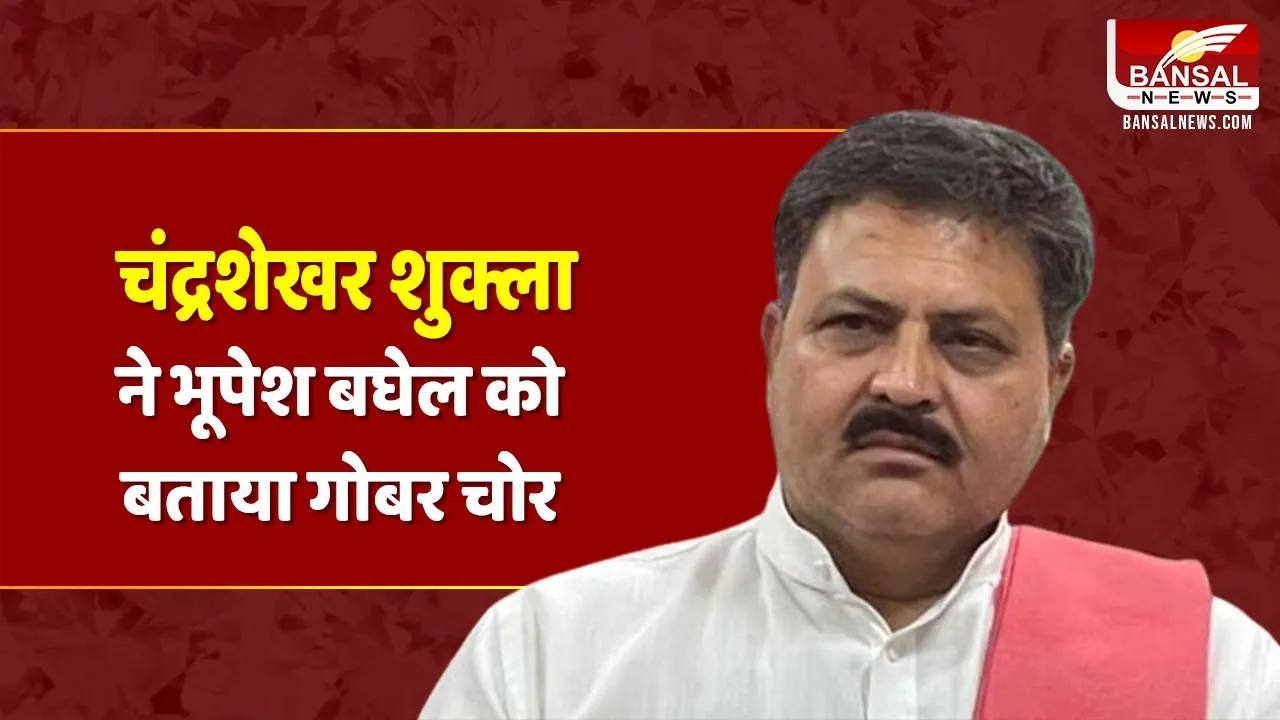 'भूपेश बघेल गोबर चोर': काग्रेस के पूर्व महामंत्री ने ही खोल दी पोल