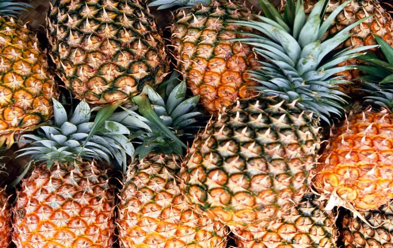Pineapple Benefits: अंतरराष्ट्रीय बाजार में पहुंचा मेघालय का अनानास, जानें अनानास के फायदे