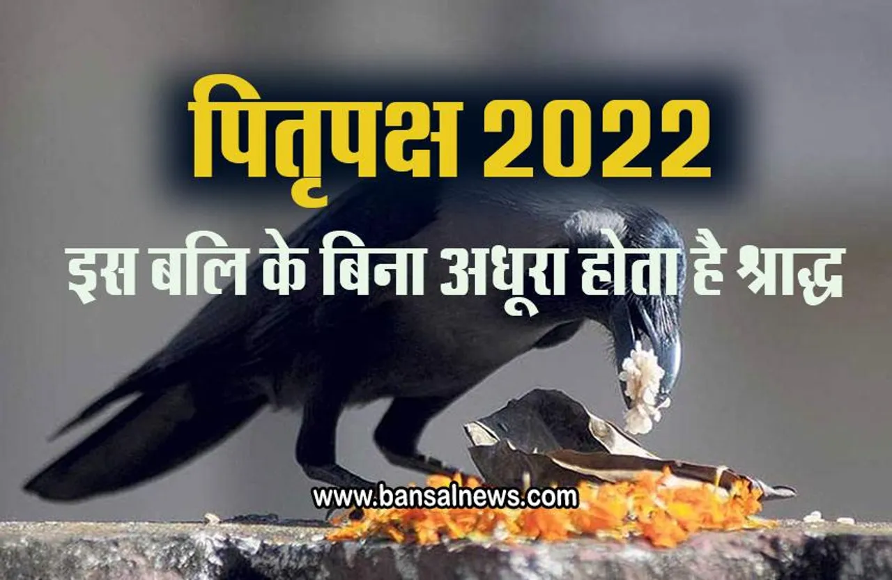 Pitru Paksha 2022 : श्राद्ध पक्ष शुरू, इन तीन बलियों के बिना अधूरा है श्राद्ध