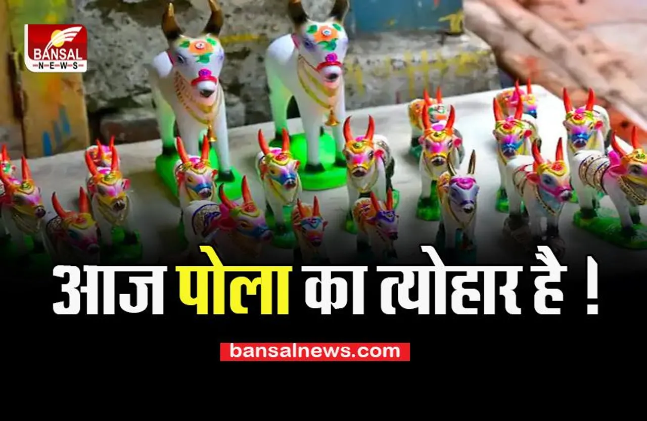 MP Bail Pola 2022: आज देशभर में मनाया जा रहा पोला पर्व, जानें क्या होता है इसका महत्व, कहाँ की जाती सबसे ज्यादा पूजा