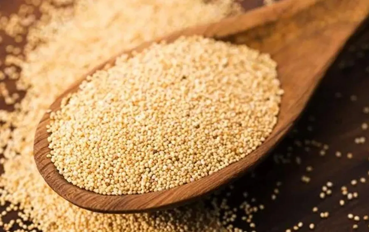 Poppy Seeds For Healthy Bones: हड्डियों के स्वास्थ्य के लिए काफी जरूरी होता है खसखस, जानिए इसके फायदे
