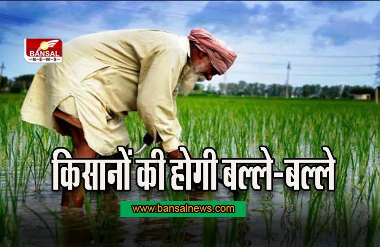 Punjab: सरकार का बड़ा ऐलान ! किसानों की इस समस्या का होगा स्थाई समाधान
