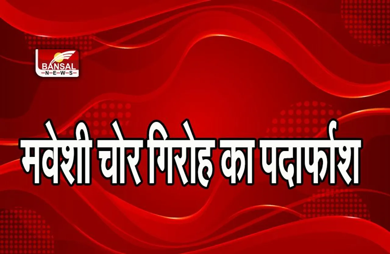 MP News: रोहट पुलिस ने मवेशी चोर गिरोह का पर्दाफाश, एक लाख रुपये भी बरामद