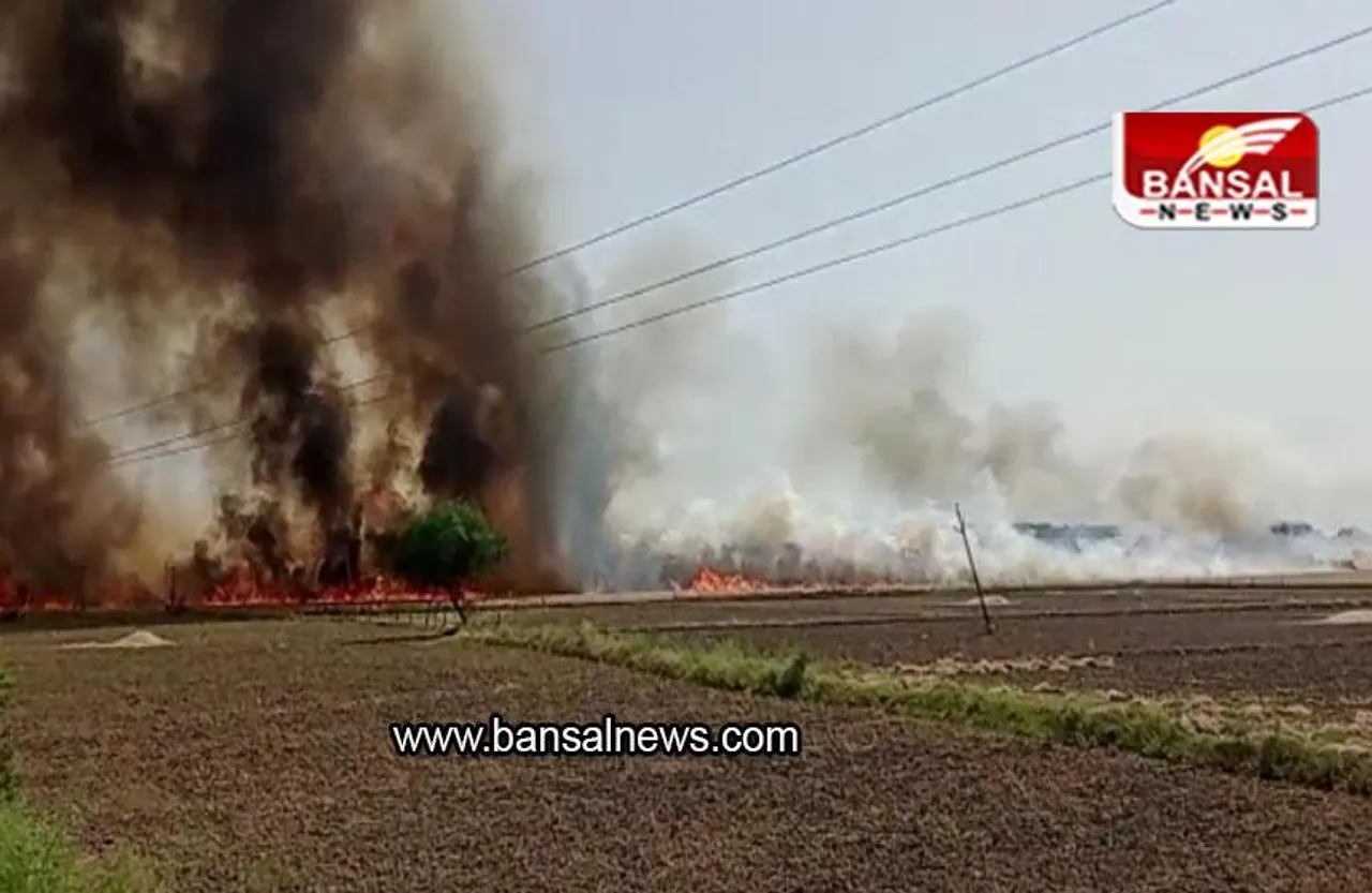 MP NEWS: सैकड़ों बीघा जमीन में खड़ी गेहूँ की फसल में लगी आग, नाराज ग्रामीणों ने राष्ट्रीय राजमार्ग पर लगाया जाम
