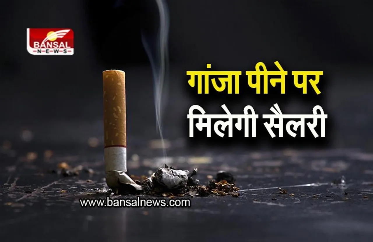 Unique Employment: गांजा पीने पर मिल रही है मोटी सैलरी, ये कंपनी दे रही ऑफर