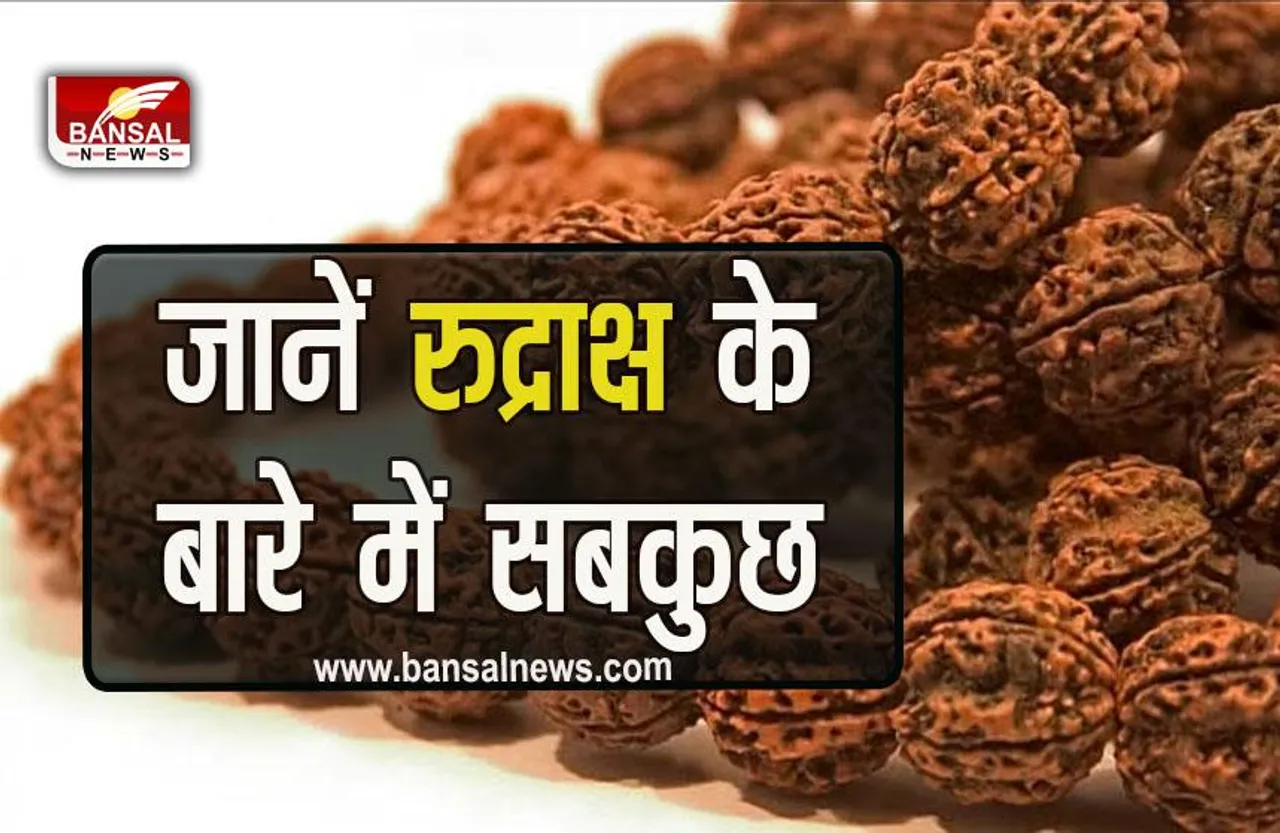 Rudraksha : किसे कौन सा रुद्राक्ष होता है शुभ, जानें कैसा दिखता है एक मुखी रुद्राक्ष