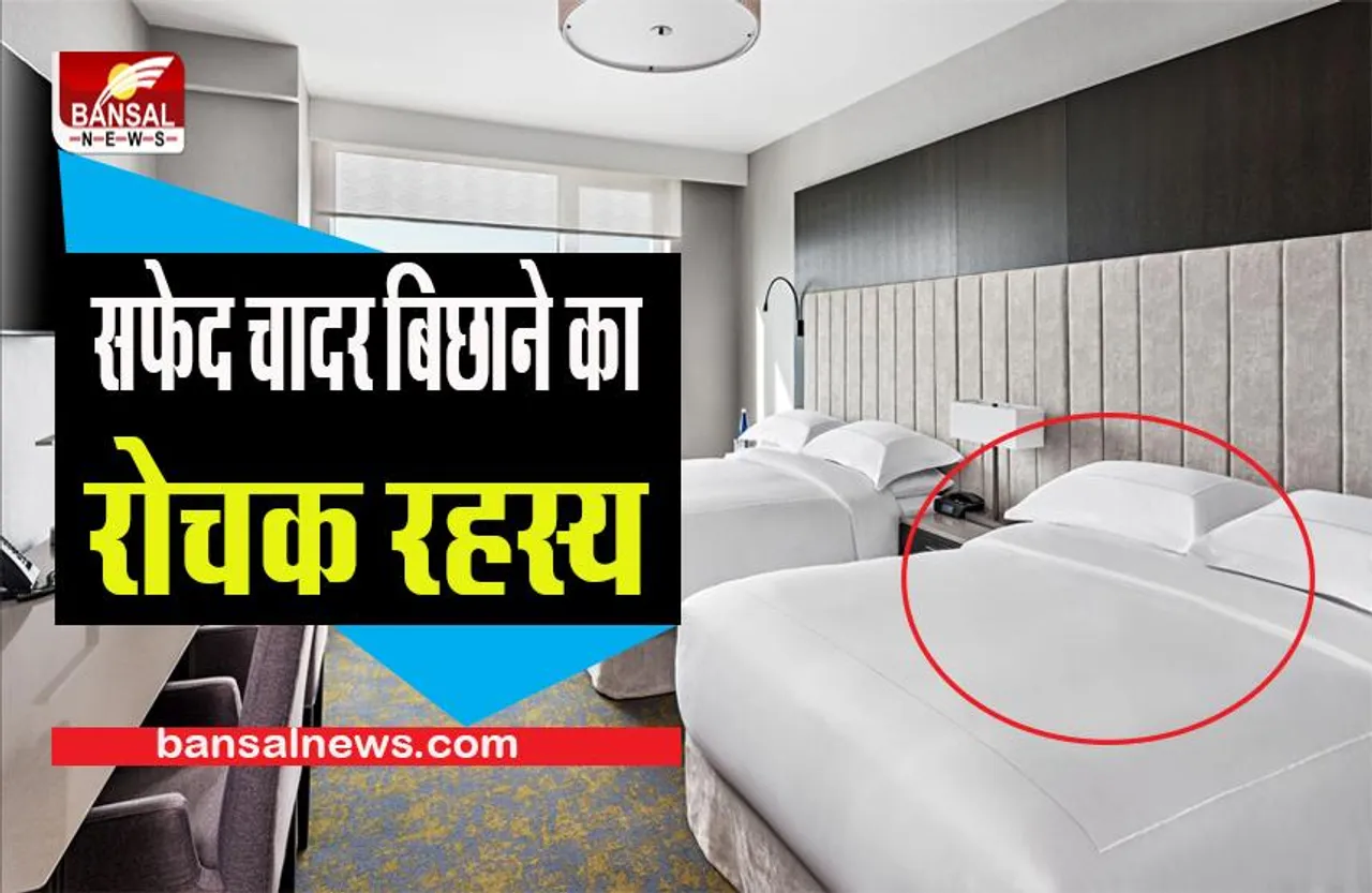 IMPORTANT HOTEL ROOM TIPS: होटल रूम में बेड पर सफेद बेडशीट ही क्यों बिछाई जाती है ? जान लें जरूरी 5 वजह कहीं हो न जाए बेइज्जती