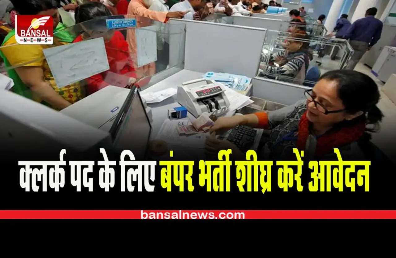 Sarkari Naukri: क्लर्क पद के लिए बंपर भर्ती,शीघ्र करें आवेदन