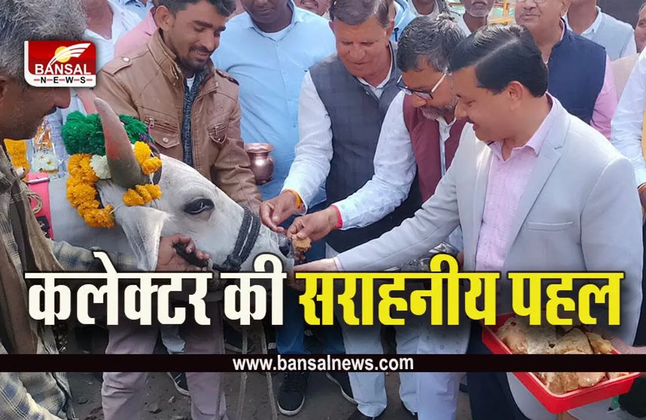 Shajapur News : दुधारू मालवी, देशी व उन्नत नस्ल की गायों को मिलें पुरस्कार, कलेक्टर ने किया सम्मान