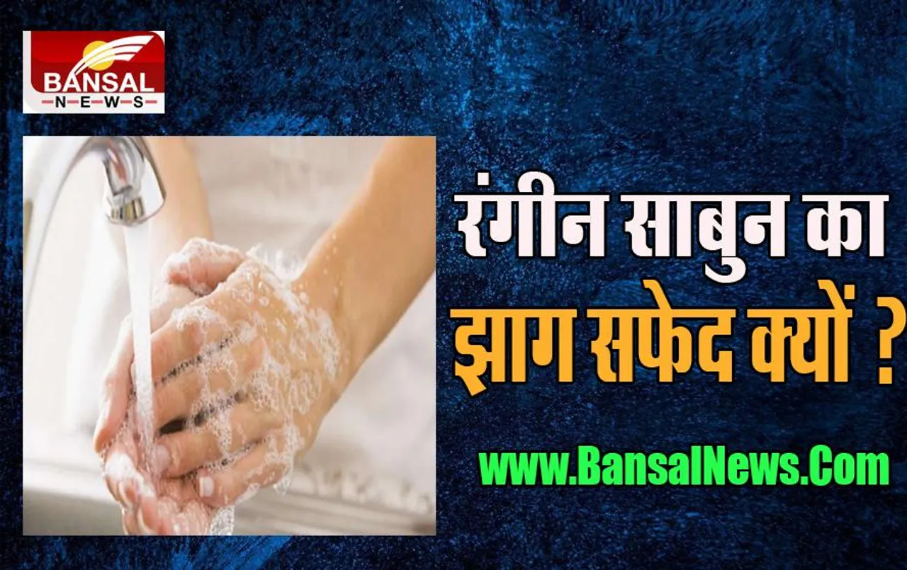 Soap White Foam : क्या आपने कभी सोचा है ? साबुन के झाग से सफेद झाग ही निकलता, और रंग क्यों नहीं, जानें इसका वैज्ञानिक कारण